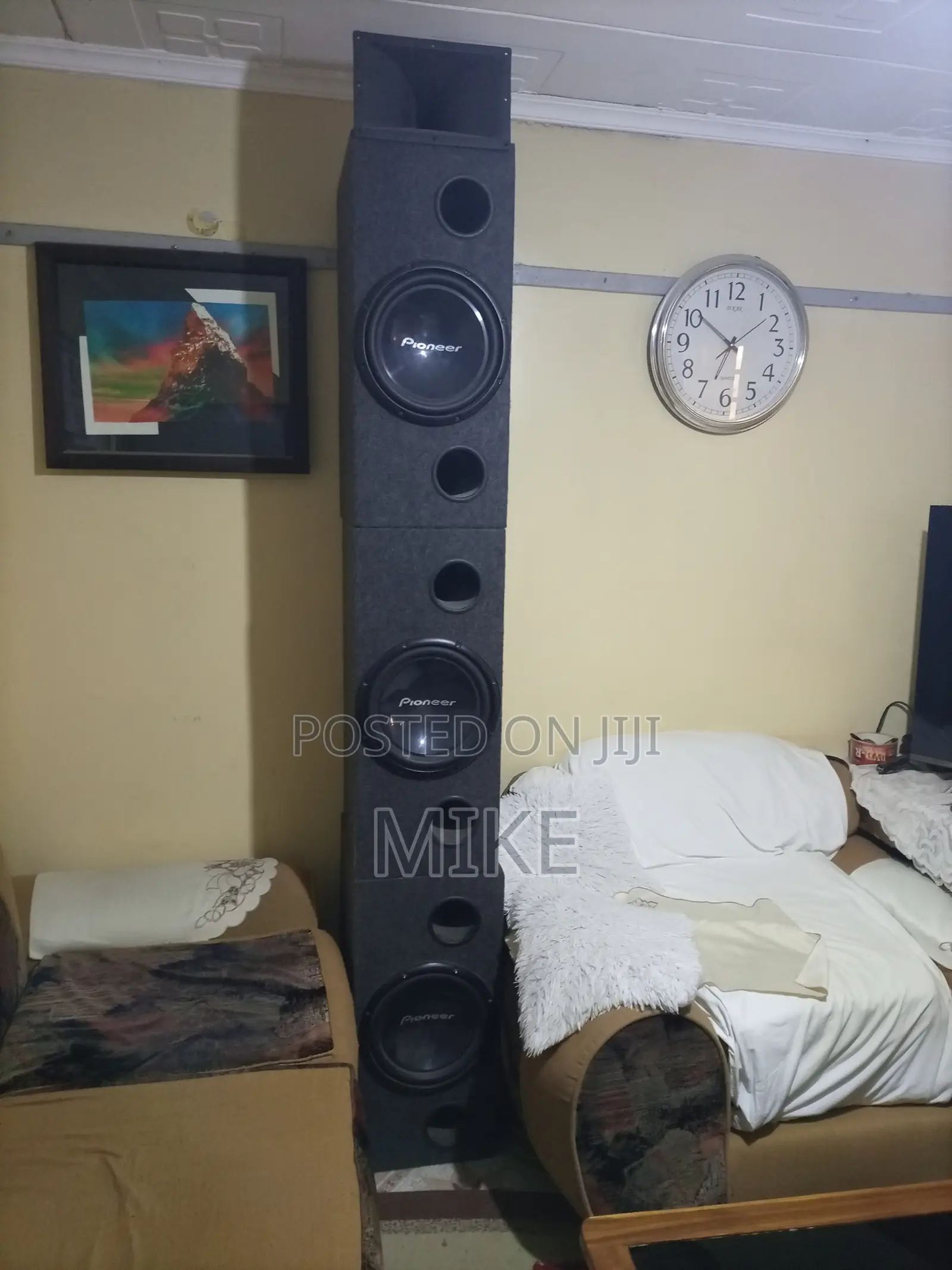 Pioneer Speakers TS-W309D4
