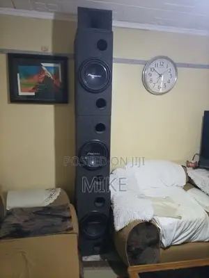 Pioneer Speakers TS-W309D4