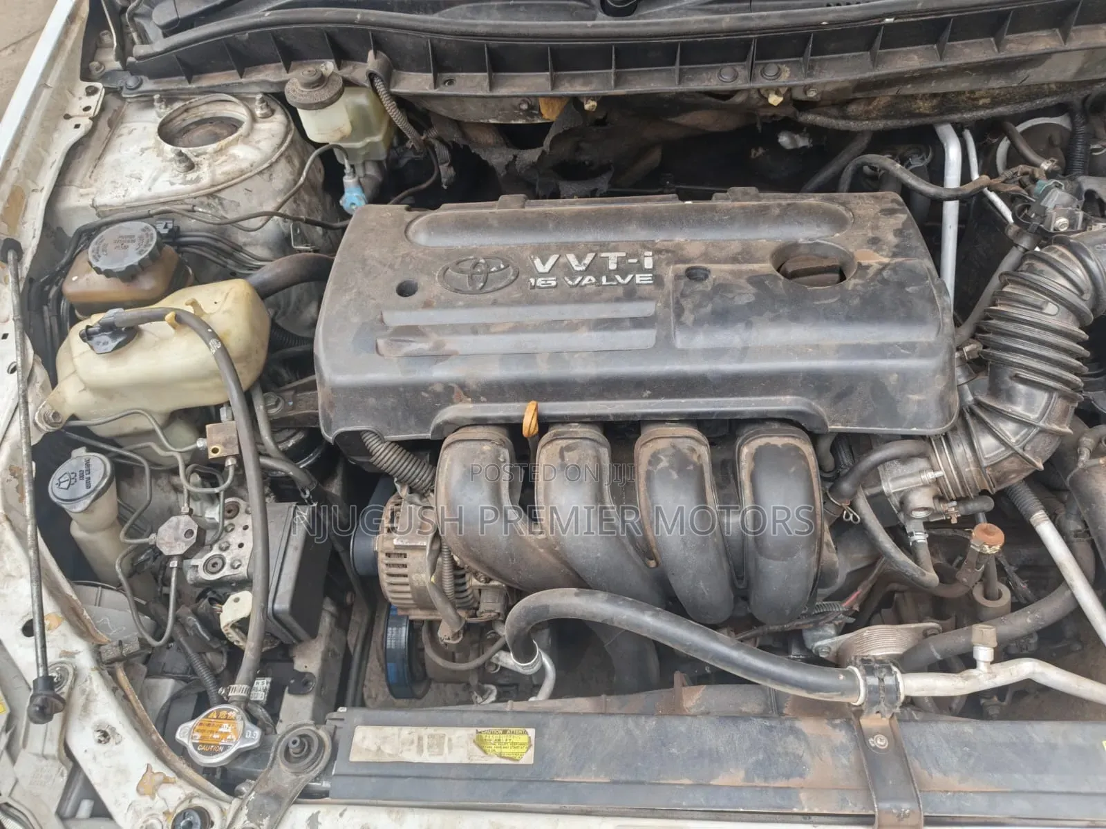Toyota Premio 2006 White