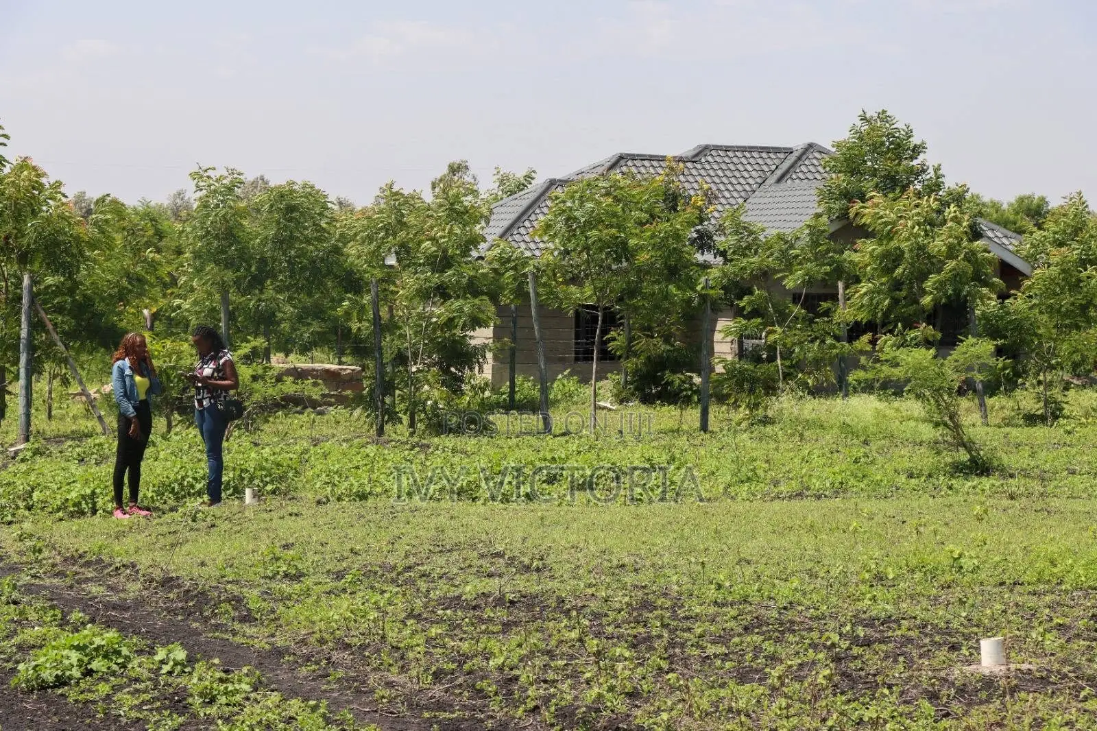 50 by 100 Mwea Plots