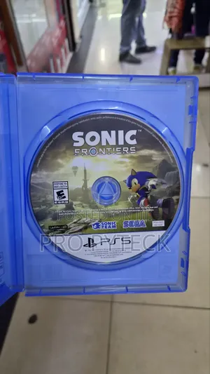 Sonic Frontier