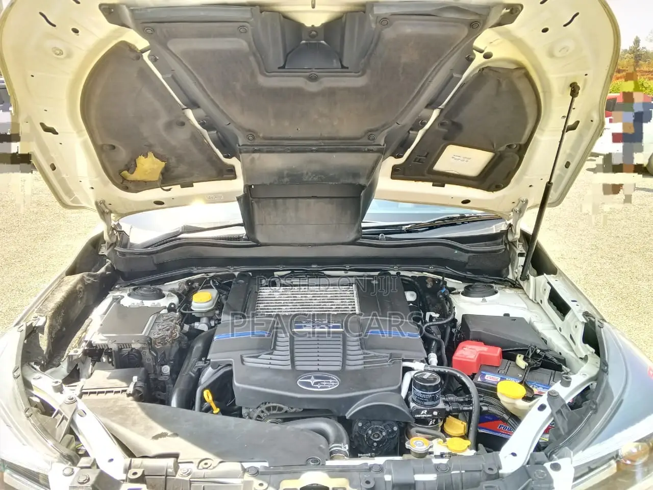 Subaru Forester 2013 White