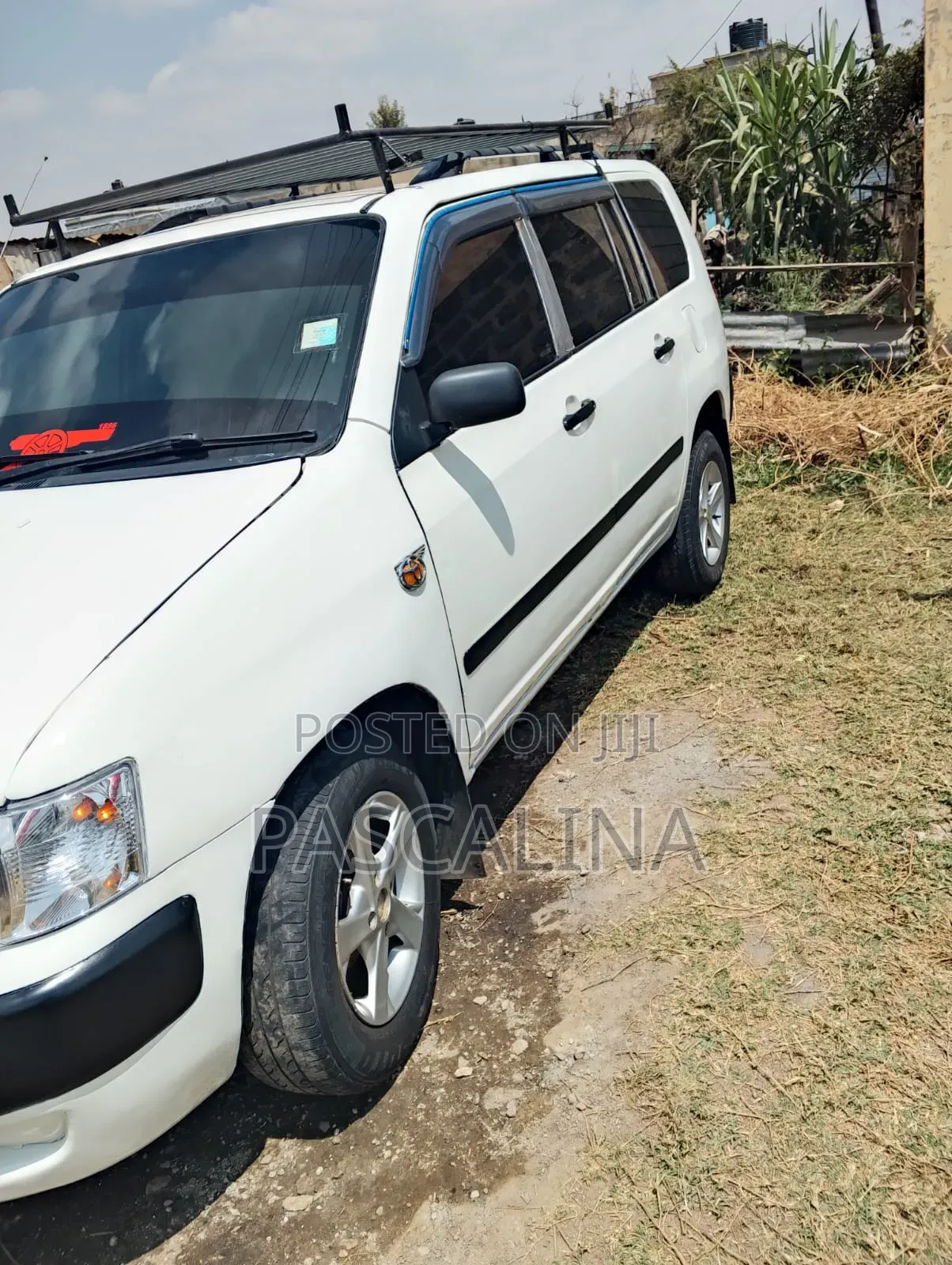 Toyota Probox 2010 White