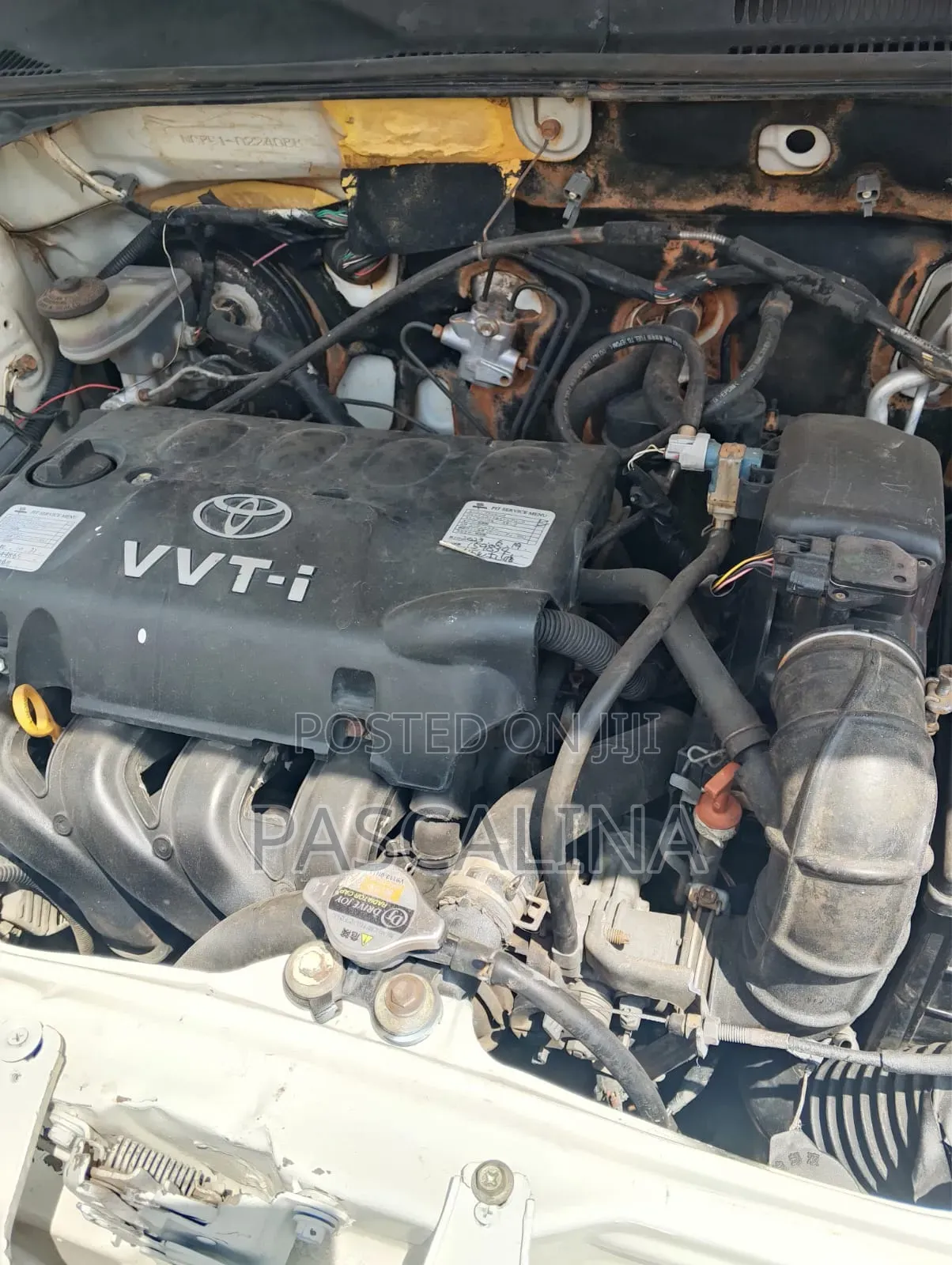 Toyota Probox 2010 White