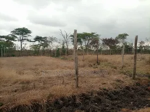 Prime Residential Plot Kwa Murage