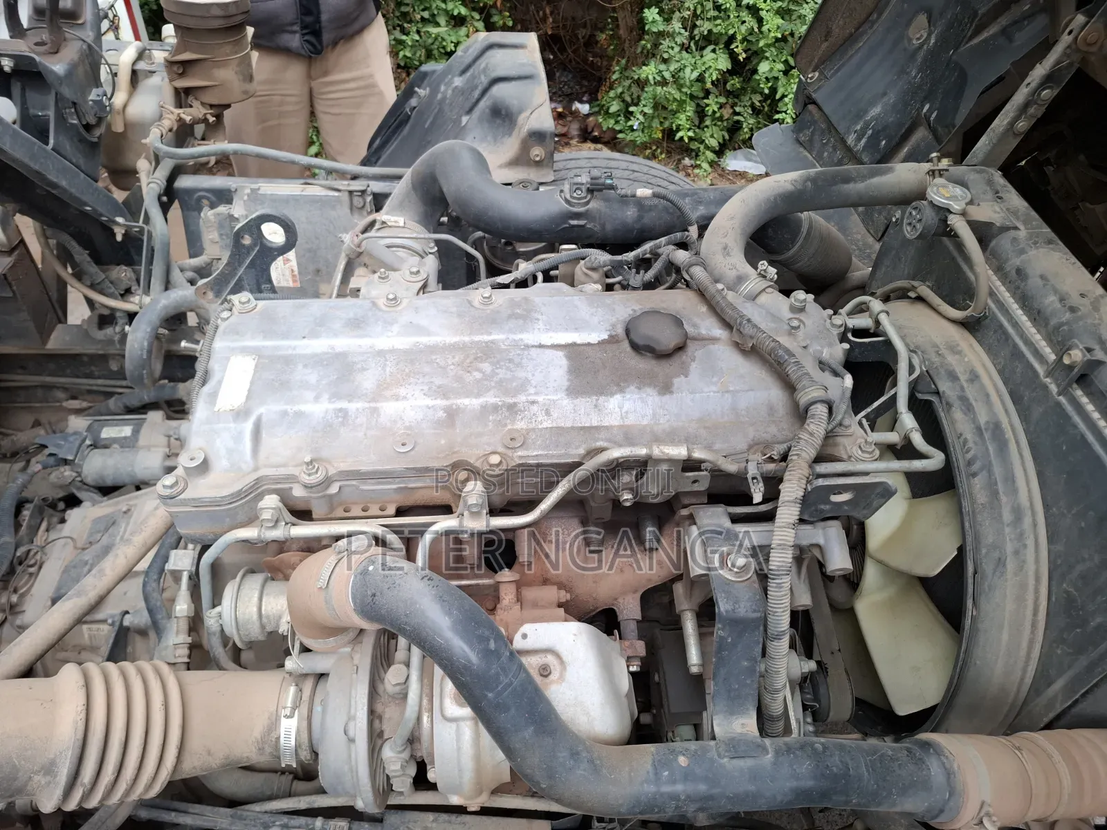 Isuzu FRR Local 2022 White