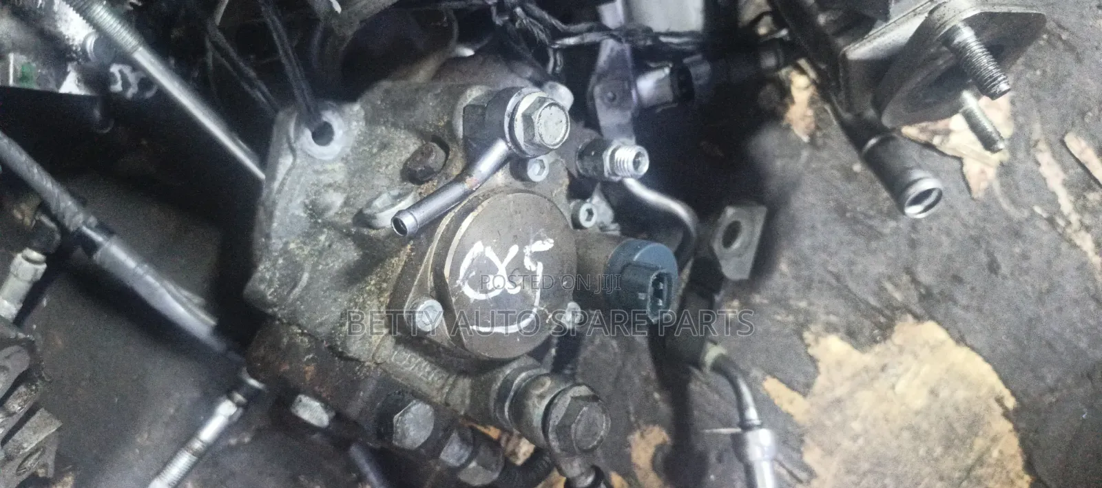Injector Pump Cx5