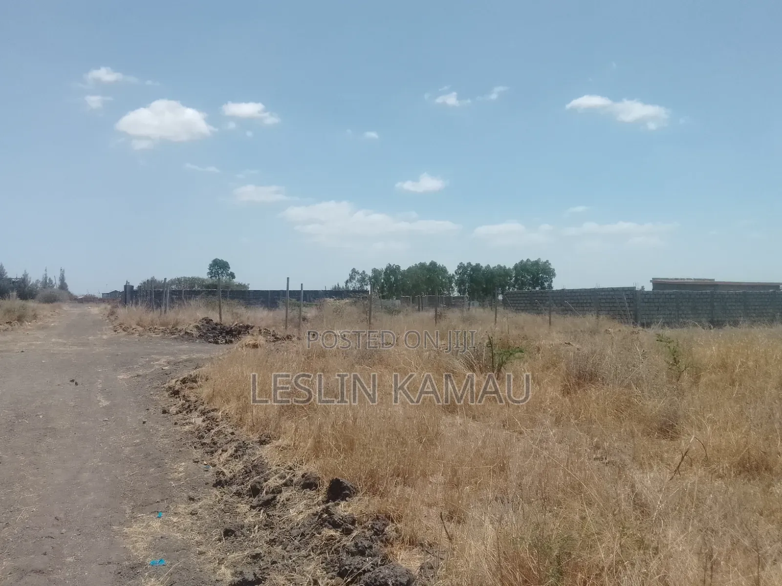 Affordable Plots for Sale in Katani