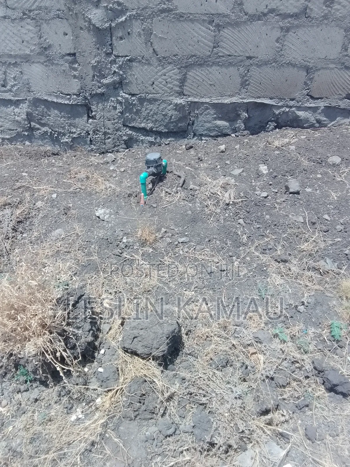 Affordable Plots for Sale in Katani