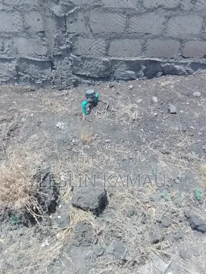 Affordable Plots for Sale in Katani