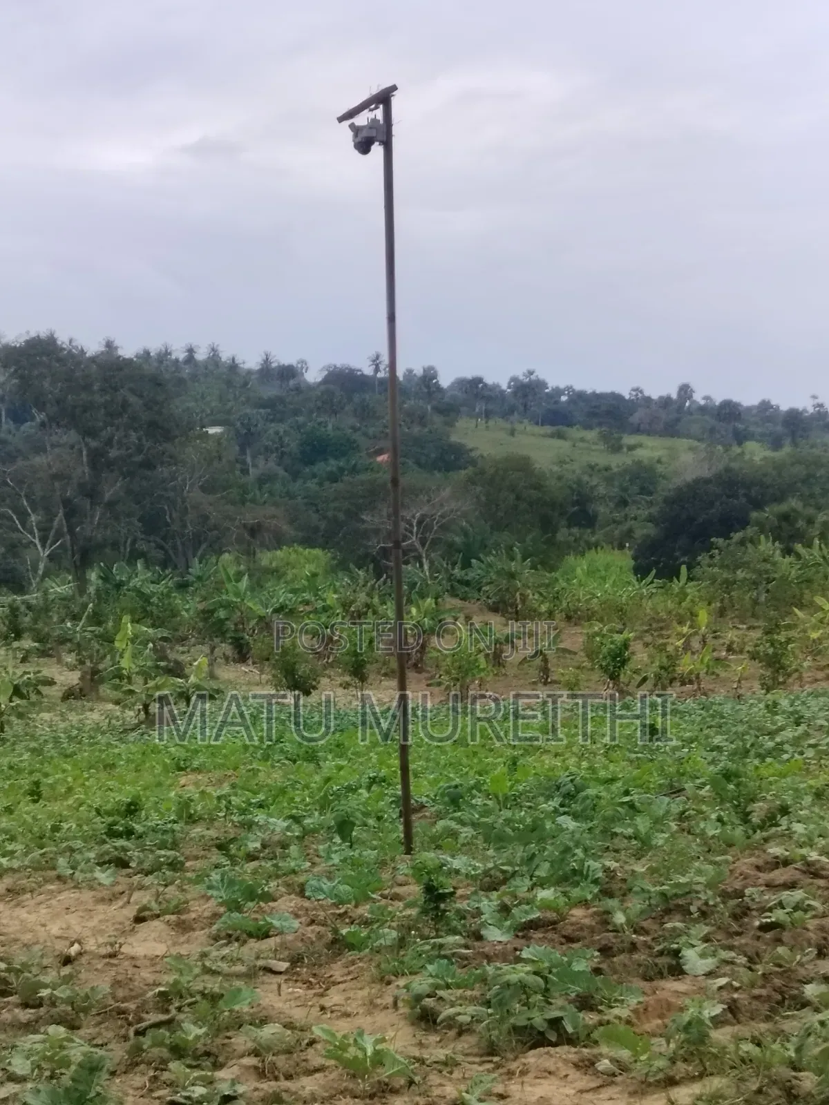 Developed 12 Acre Land in Msambweni, Kwale
