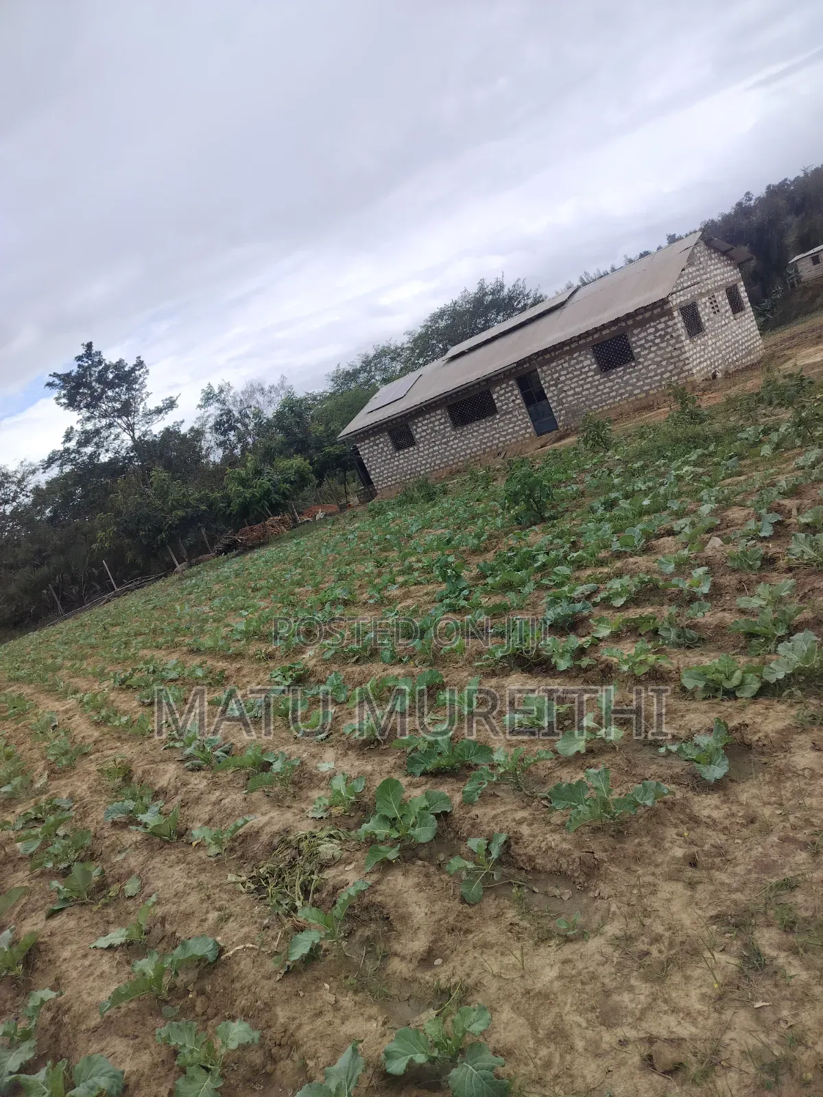 Developed 12 Acre Land in Msambweni, Kwale
