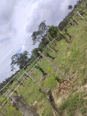 Developed 12 Acre Land in Msambweni, Kwale