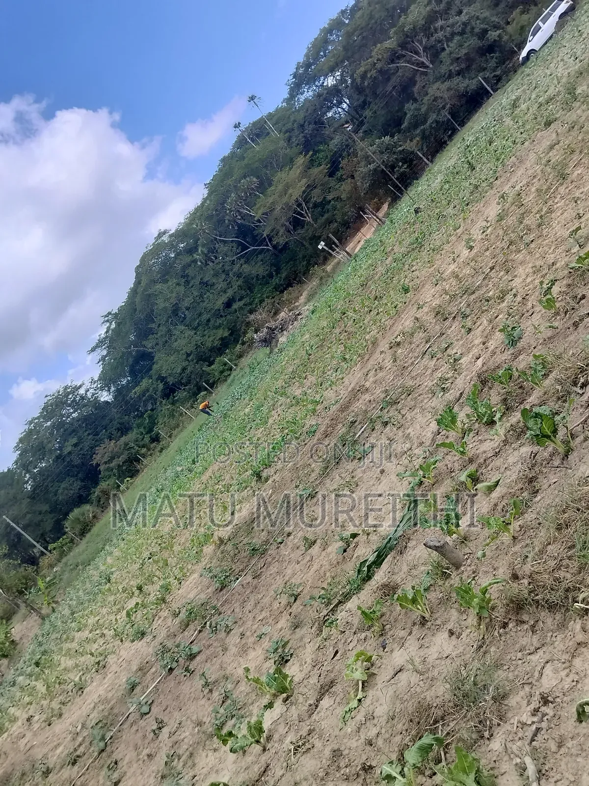 Developed 12 Acre Land in Msambweni, Kwale