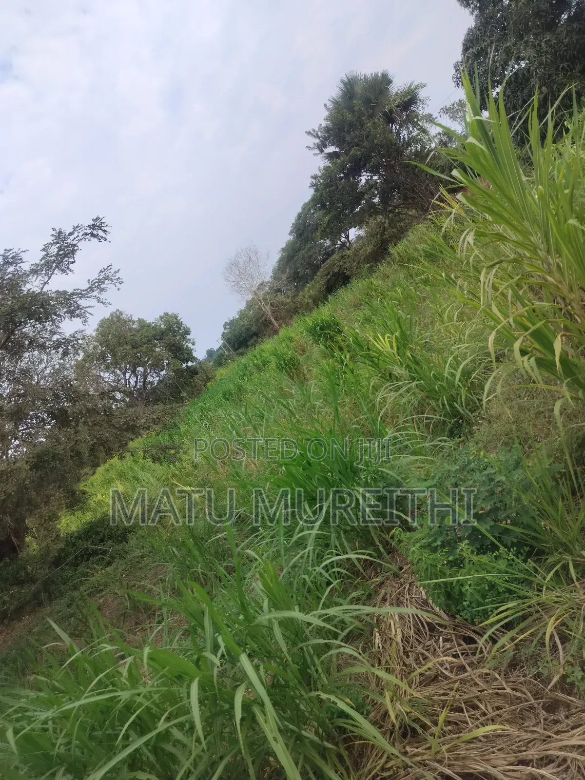 Developed 12 Acre Land in Msambweni, Kwale