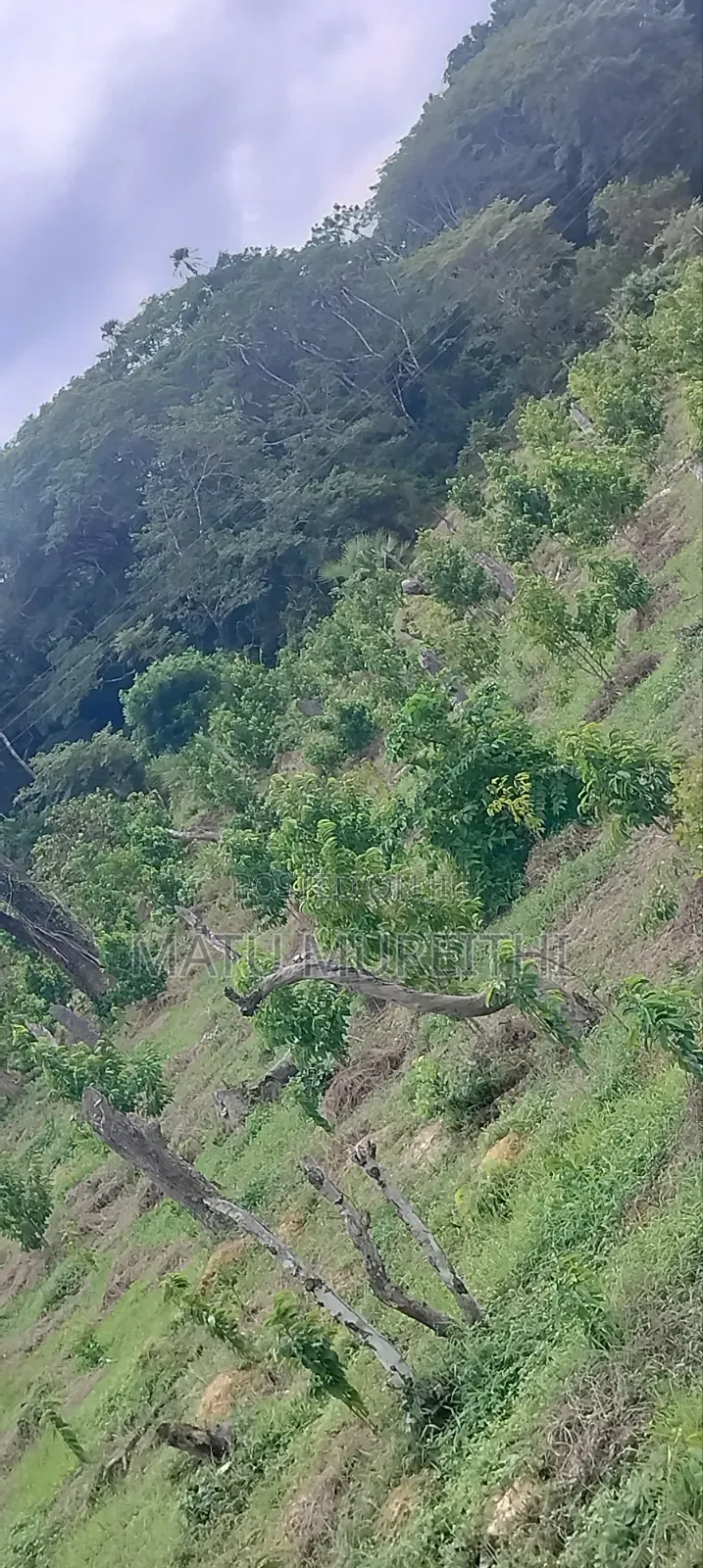 Developed 12 Acre Land in Msambweni, Kwale