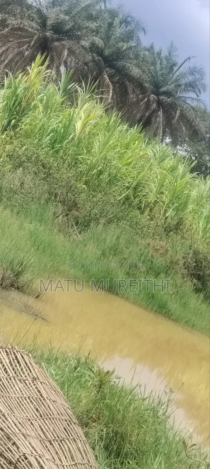 Developed 12 Acre Land in Msambweni, Kwale
