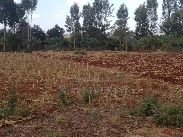 Runda Prime Fully Serviced Well Drained Red Soil 1/4 Acre Plot - main view