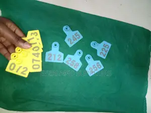 Ear Tags - Easy to Recognize