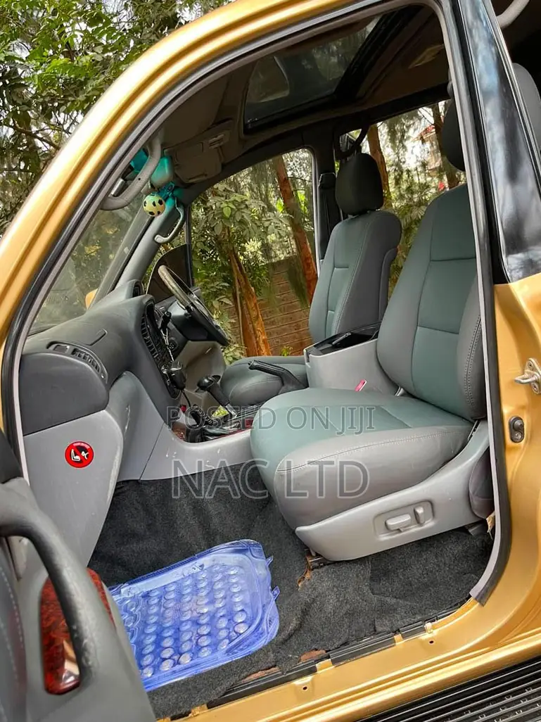 Toyota Land Cruiser 2003 Gold