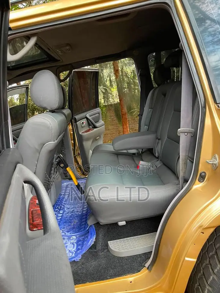 Toyota Land Cruiser 2003 Gold