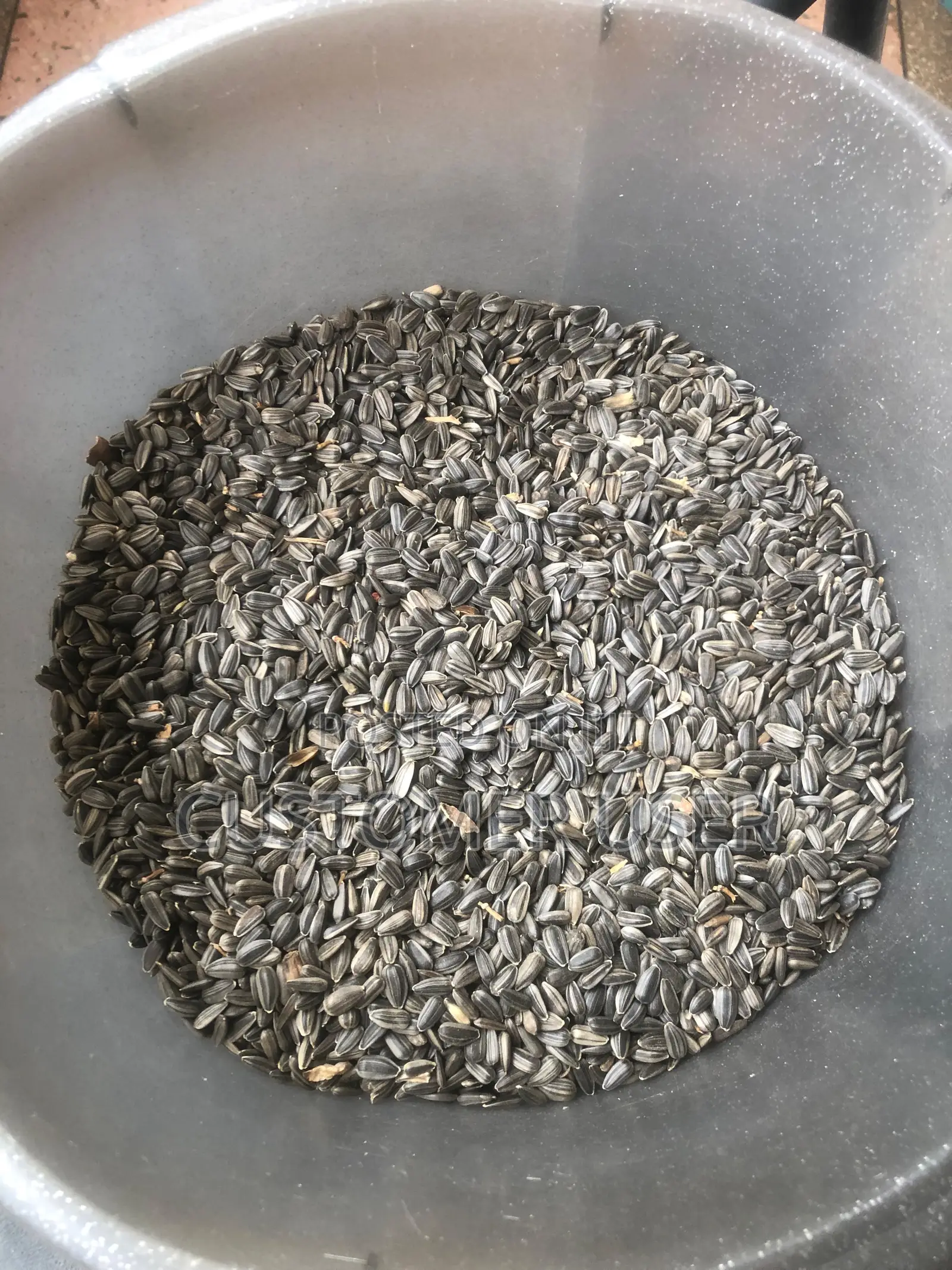 Whole Sunflower Seeds