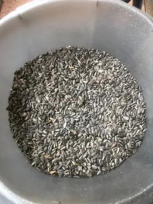 Whole Sunflower Seeds