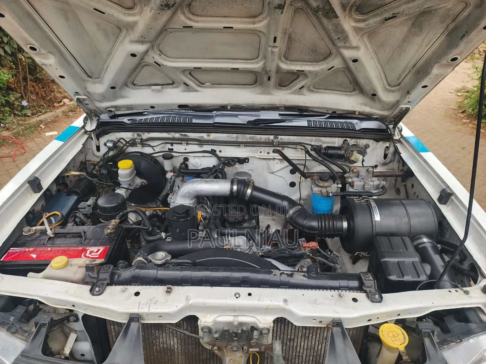Nissan Hardbody 2011 White