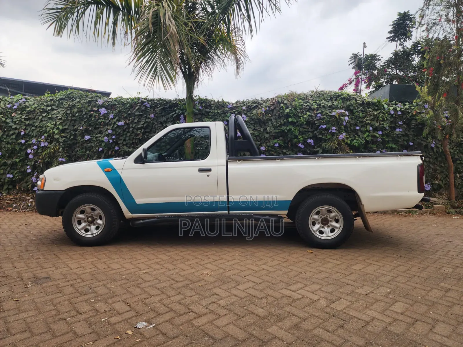 Nissan Hardbody 2011 White