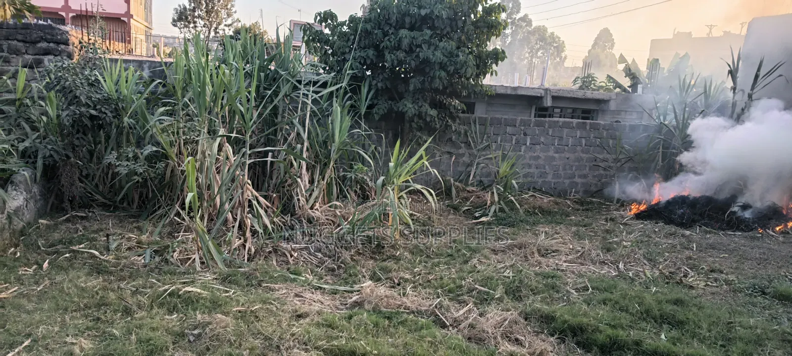 Plot for Sale