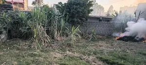Plot for Sale