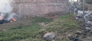 Plot for Sale