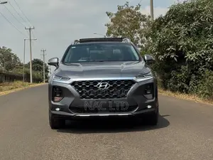 Hyundai Santa Fe 2020 Gray
