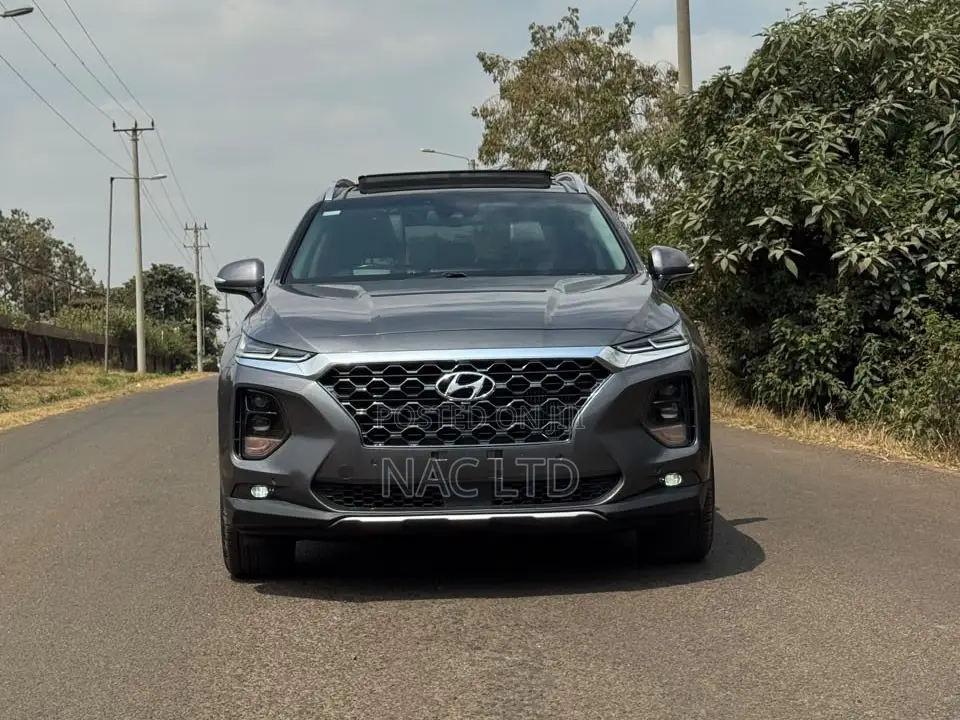 Hyundai Santa Fe 2020 Gray