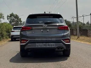 Hyundai Santa Fe 2020 Gray