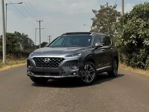 Hyundai Santa Fe 2020 Gray
