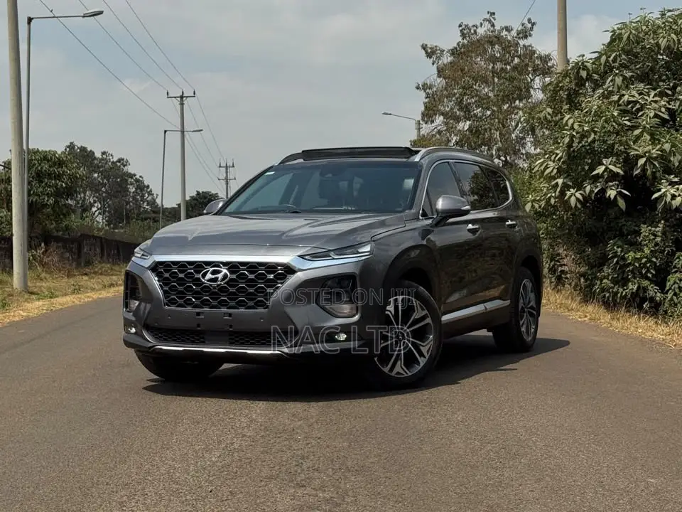 Hyundai Santa Fe 2020 Gray