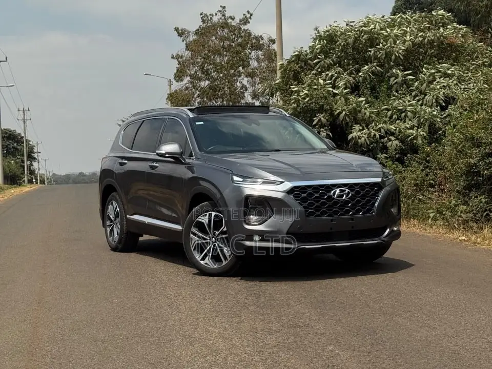Hyundai Santa Fe 2020 Gray
