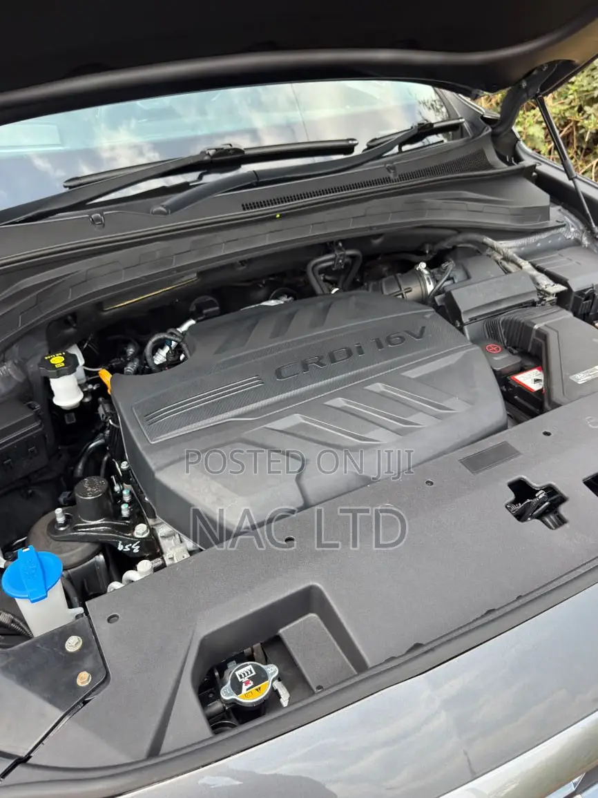 Hyundai Santa Fe 2020 Gray