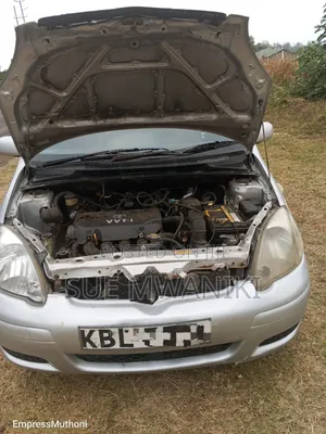 Toyota Vitz 2004 Gold