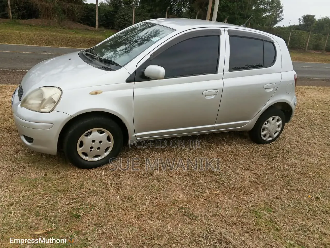 Toyota Vitz 2004 Gold