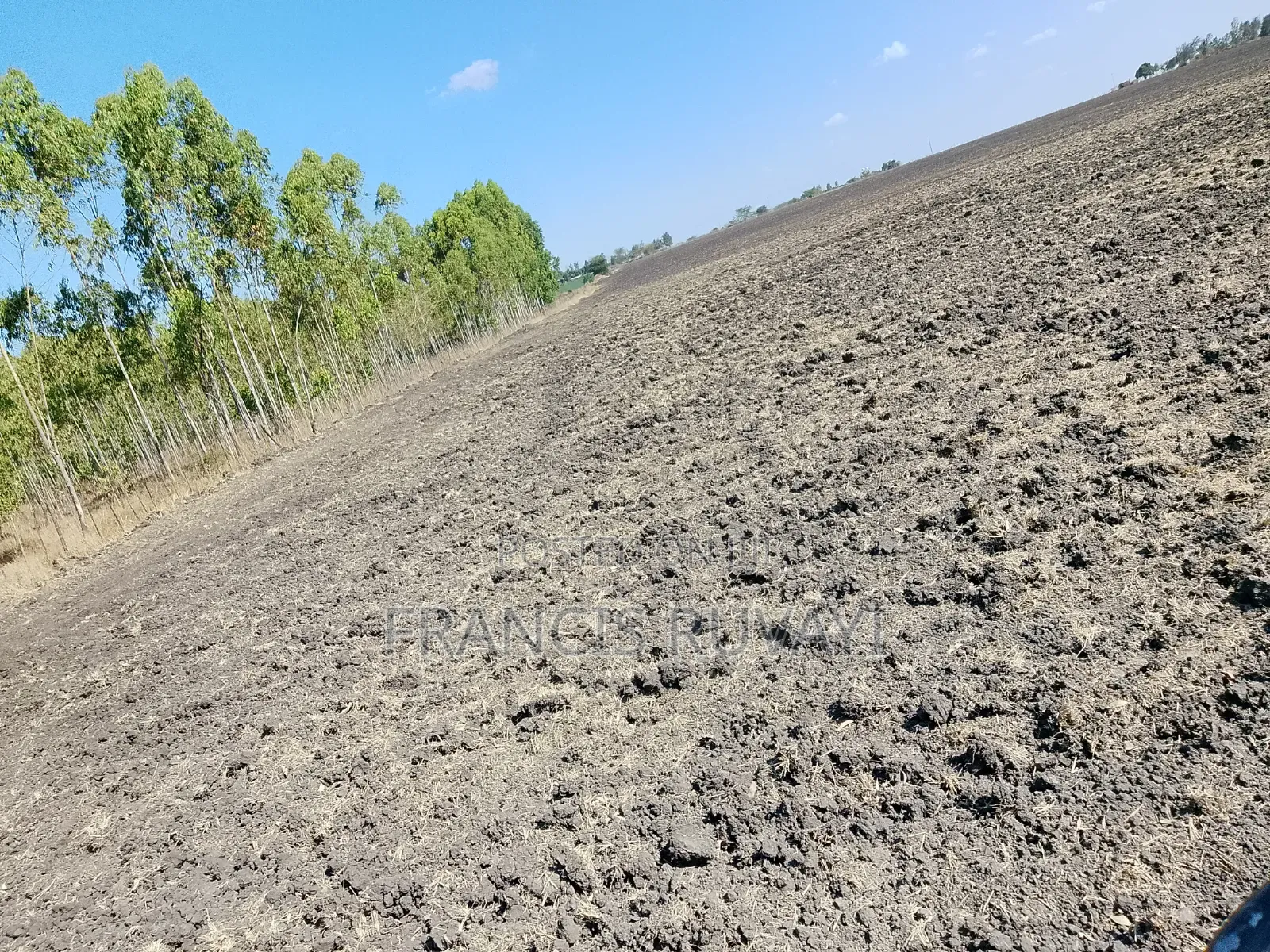 Land for Lease 20acres Available