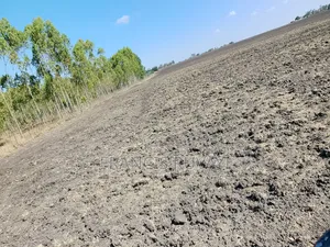 Land for Lease 20acres Available