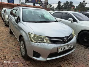 Toyota Corolla Fielder 2013 Silver