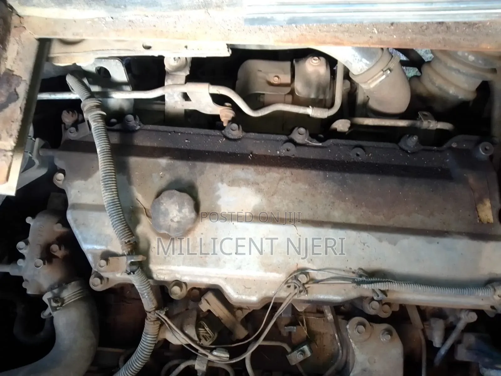 Isuzu FRR 2023 Green