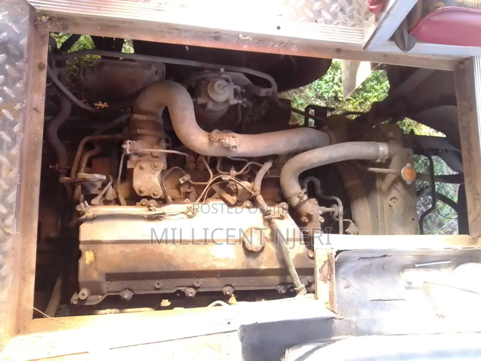 Isuzu FRR 2023 Green