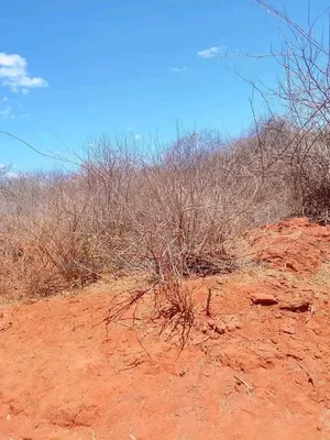 20 Acres Mutha -Kitui County