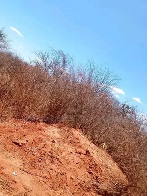 20 Acres Mutha -Kitui County