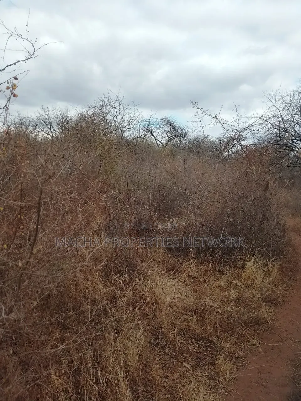 20 Acres Mutha -Kitui County