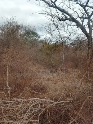 20 Acres Mutha -Kitui County